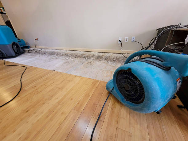 Professional Basement Flood Cleanup technician working in Lakeside, VA